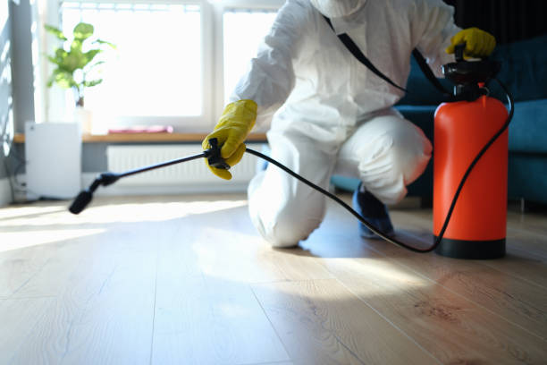 Reliable Odor Removal contractor in Cathedral City, CA by Crime Scene Cleaner Online